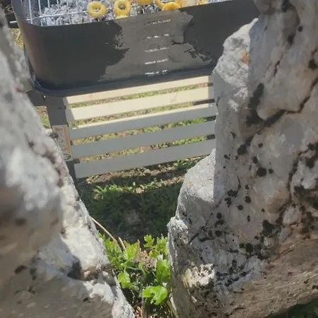 Casa Luciana Nel Cuore Dell'alpe * Bertoldi